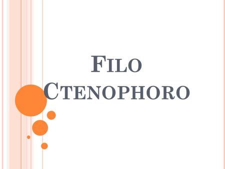 Filo Ctenophoro.