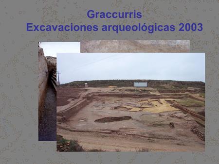 Excavaciones arqueológicas 2003