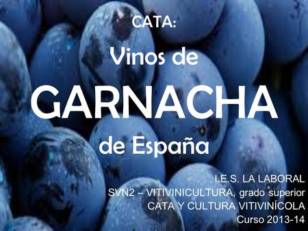 CATA: Vinos de GARNACHA de España