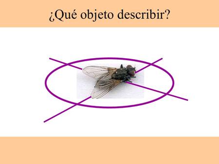 ¿Qué objeto describir?. Fragmento de Breviarios por Leonardo De Vinci. “Moscas.—La infame especie alada recorrerá el aire y asaltará a los humanos y animales.