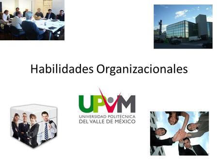 Habilidades Organizacionales