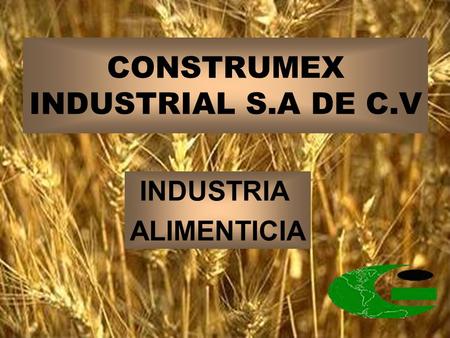 CONSTRUMEX INDUSTRIAL S.A DE C.V
