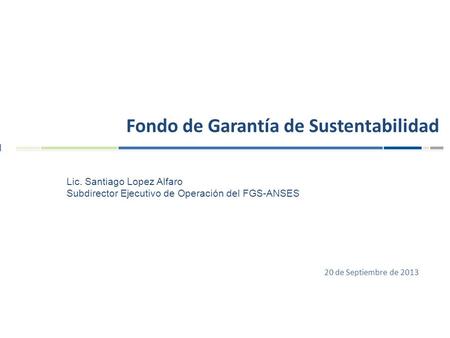 20 de Septiembre de 2013 Fondo de Garantía de Sustentabilidad Lic. Santiago Lopez Alfaro Subdirector Ejecutivo de Operación del FGS-ANSES.