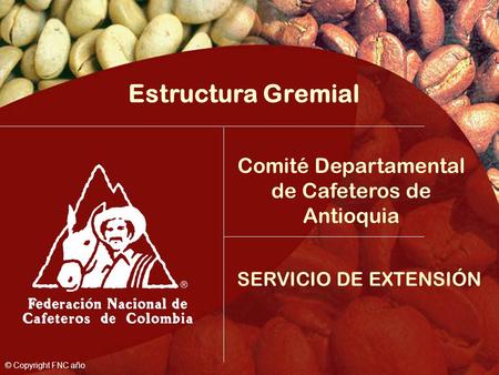 Comité Departamental de Cafeteros de Antioquia