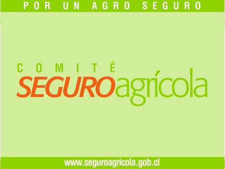 SEGURO AGRÍCOLA en CHILE Eugenio Rodríguez Vives Director Ejecutivo Comité de Seguro Agrícola Santiago, 22 de Octubre de 2009.
