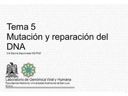 1 CA García Sepúlveda MD PhD Tema 5 Mutación y reparación del DNA Laboratorio de Genómica Viral y Humana Facultad de Medicina, Universidad Autónoma de.