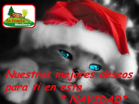 Nuestros mejores deseos para ti en esta