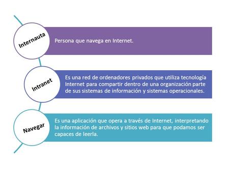 Persona que navega en Internet. Es una red de ordenadores privados que utiliza tecnología Internet para compartir dentro de una organización parte de sus.