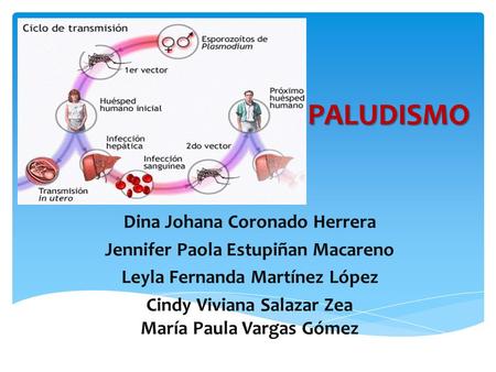 PALUDISMO Dina Johana Coronado Herrera Jennifer Paola Estupiñan Macareno Leyla Fernanda Martínez López Cindy Viviana Salazar Zea María Paula Vargas Gómez.
