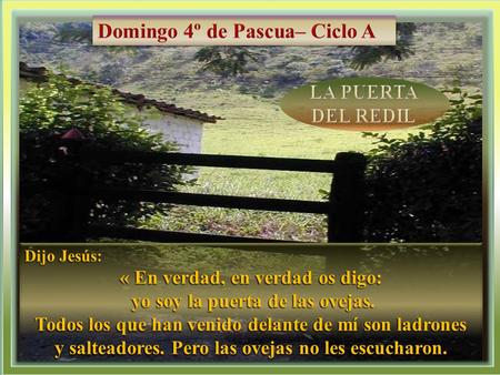 Domingo 4º de Pascua– Ciclo A