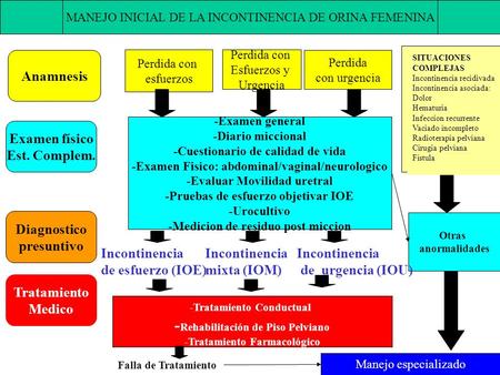 Anamnesis Examen físico Est. Complem. Diagnostico presuntivo Tratamiento Medico Perdida con esfuerzos Perdida con Esfuerzos y Urgencia Perdida con urgencia.