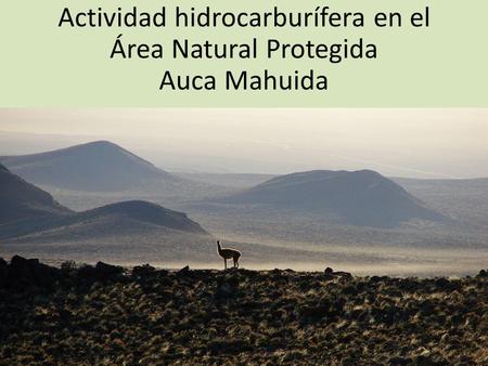 Actividad hidrocarburífera en el Área Natural Protegida Auca Mahuida.