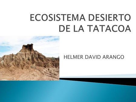ECOSISTEMA DESIERTO DE LA TATACOA