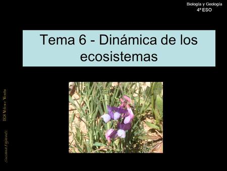 Susana Fajarnés IES Veles e Vents Biología y Geología 4º ESO Tema 6 - Dinámica de los ecosistemas.