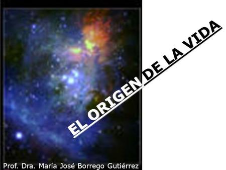 EL ORIGEN DE LA VIDA Prof. Dra. María José Borrego Gutiérrez.