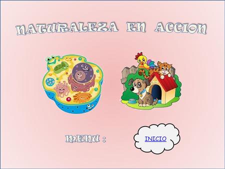NATURALEZA EN ACCION MENU : INICIO.