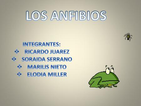 LOS ANFIBIOS INTEGRANTES: RICARDO JUAREZ SORAIDA SERRANO MARILIS NIETO