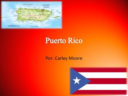 Por: Carley Moore. Nosotros llegamos a San Juan el lunes por avion. Primero nosotros pensamos ir al Parque de las Palomas a pie. Luego nosotros viajamos.
