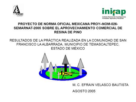 PROYECTO DE NORMA OFICIAL MEXICANA PROY–NOM-026- SEMARNAT-2005 SOBRE EL APROVECHAMIENTO COMERCIAL DE RESINA DE PINO RESULTADOS DE LA PRÁCTICA REALIZADA.