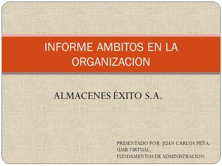 INFORME AMBITOS EN LA ORGANIZACION
