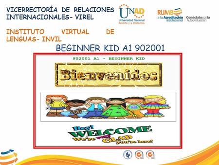 VICERRECTORÍA DE RELACIONES INTERNACIONALES- VIREL INSTITUTO VIRTUAL DE ...