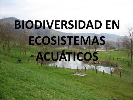 BIODIVERSIDAD EN ECOSISTEMAS ACUÁTICOS