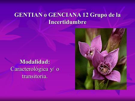 GENTIAN o GENCIANA 12 Grupo de la Incertidumbre