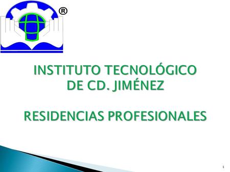 INSTITUTO TECNOLÓGICO DE CD. JIMÉNEZ RESIDENCIAS PROFESIONALES
