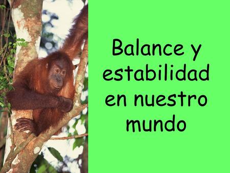 Balance y estabilidad en nuestro mundo. Puedes descubrir balance y estabilidad en nuestro mundo al explorar cómo vemos y cuidamos de la Tierra de diferentes.