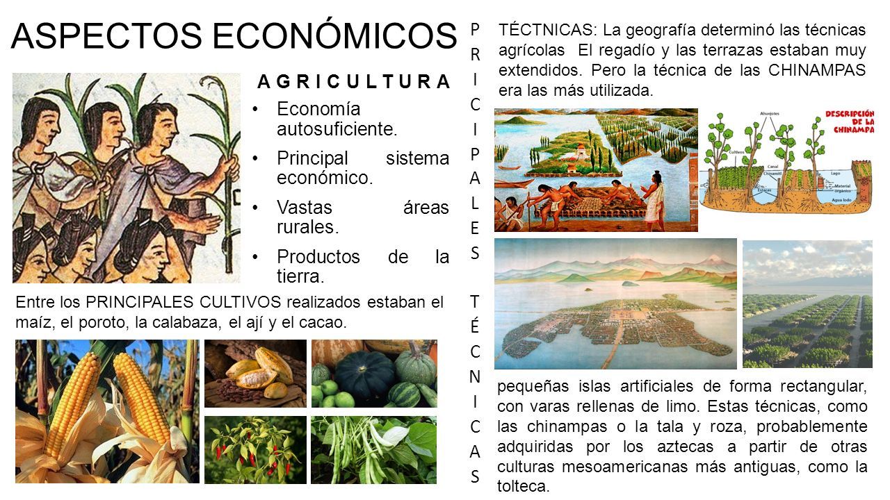 ASPECTOS ECONÓMICOS AGRICULTURA Economía autosuficiente. Principal sistema  económico. Vastas áreas rurales. Productos de la tierra. TÉCTNICAS: La  geografía. - ppt descargar