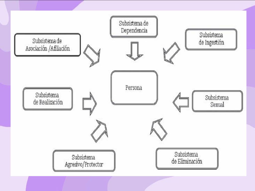 Modelo del sistema Conductual de Dorothy  - ppt descargar