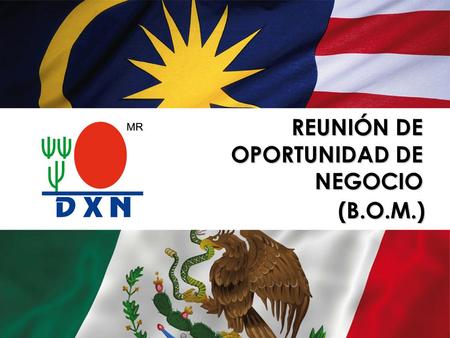 REUNIÓN DE OPORTUNIDAD DE NEGOCIO