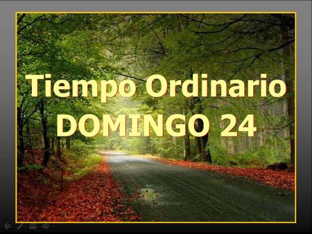 Tiempo Ordinario DOMINGO 24.