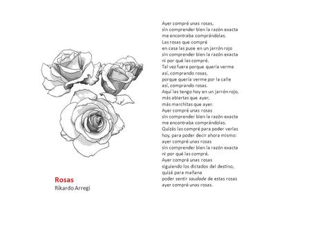 Ayer compré unas rosas, sin comprender bien la razón exacta me encontraba comprándolas. Las rosas que compré en casa las puse en un jarrón rojo sin comprender.