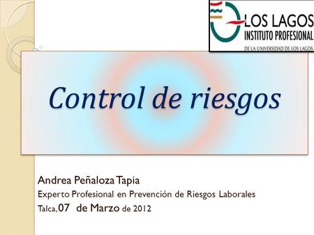 Control de riesgos Andrea Peñaloza Tapia Experto Profesional en Prevención de Riesgos Laborales Talca, 07 de Marzo de 2012.