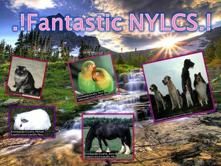  Lina Maria Manrique Murcia  Stefanya Llanos Hernandez  Norvi Yilena Guaraca Trujillo  Yesica Pastrana Ramírez  Camilo Andrés Naranjo.
