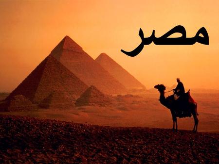 مصر.