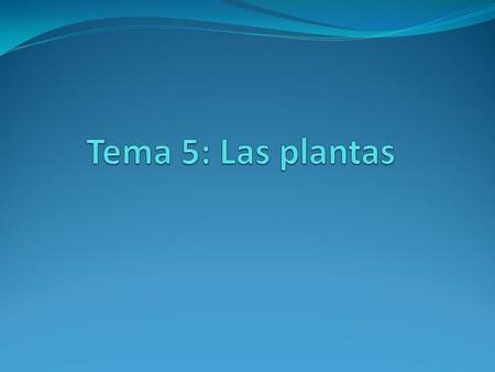 Tema 5: Las plantas.