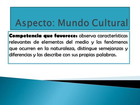 Aspecto: Mundo Cultural