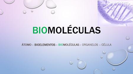 Átomo – Bioelementos – BioMoléculas – Organelos – Célula