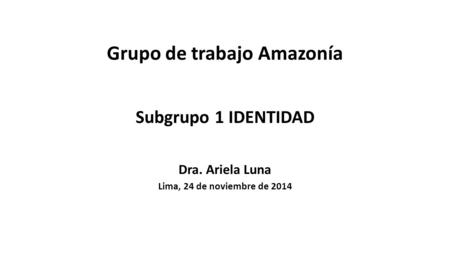 Grupo de trabajo Amazonía Subgrupo 1 IDENTIDAD Dra. Ariela Luna Lima, 24 de noviembre de 2014.