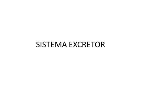 SISTEMA EXCRETOR.