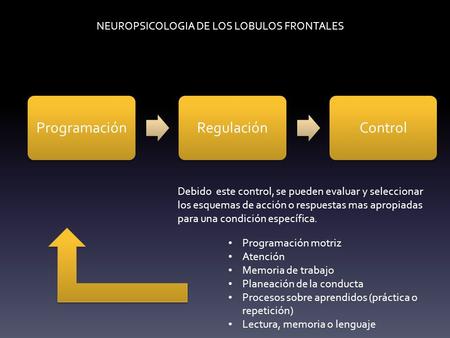 NEUROPSICOLOGIA DE LOS LOBULOS FRONTALES