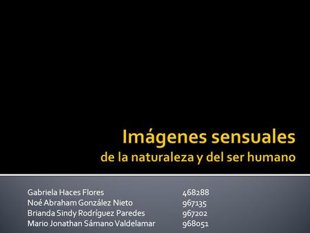 Gabriela Haces Flores 468288 Noé Abraham González Nieto 967135 Brianda Sindy Rodríguez Paredes 967202 Mario Jonathan Sámano Valdelamar 968051.