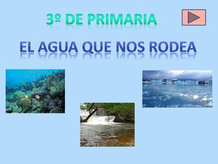 El agua es muy importante para nuestra supervivencia. Todos los seres vivos la necesitamos para poder vivir. Es incolora. No tiene color. Es inodora.