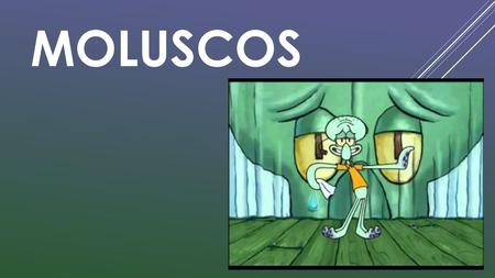 MOLUSCOS.