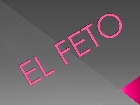 EL FETO.