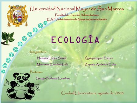 Universidad Nacional Mayor de San Marcos Facultad de Ciencias Administrativas E.A.P. Administración de Negocios Internacionales Integrantes: Huanca López.