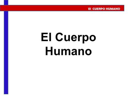 El CUERPO HUMANO El Cuerpo Humano.