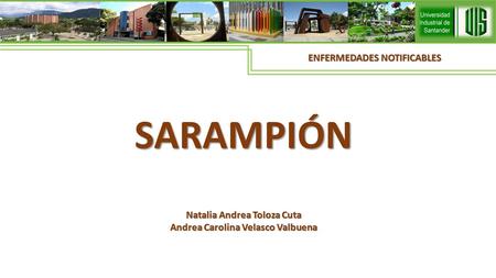 Natalia Andrea Toloza Cuta Andrea Carolina Velasco Valbuena